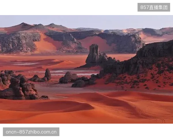数据表明阿尔及利亚队的反击更为直接，减少了不必要的传球，追求极致速度。
